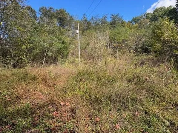 0 Chapman Hwy, Seymour, TN 37865