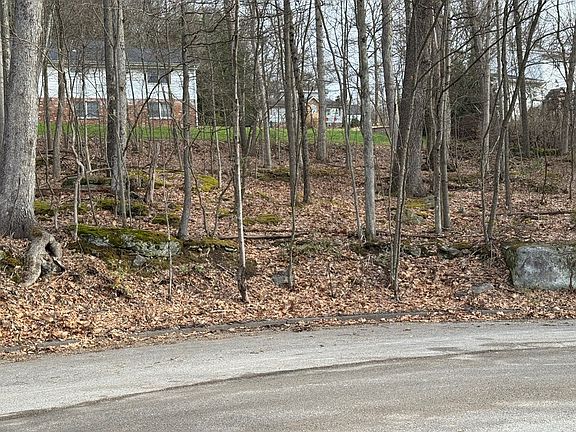 5th image of 0 Juniper Dr