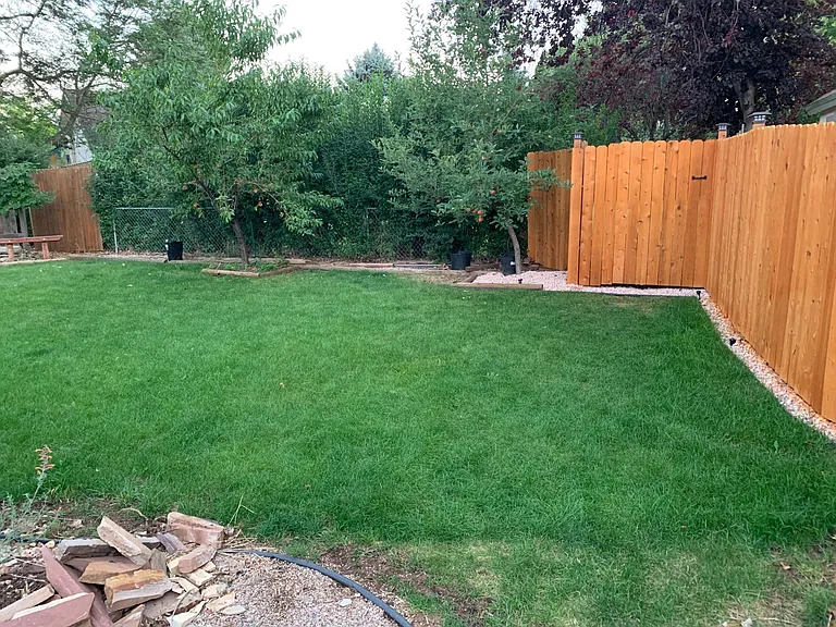 New fencing with an apple and peach tree