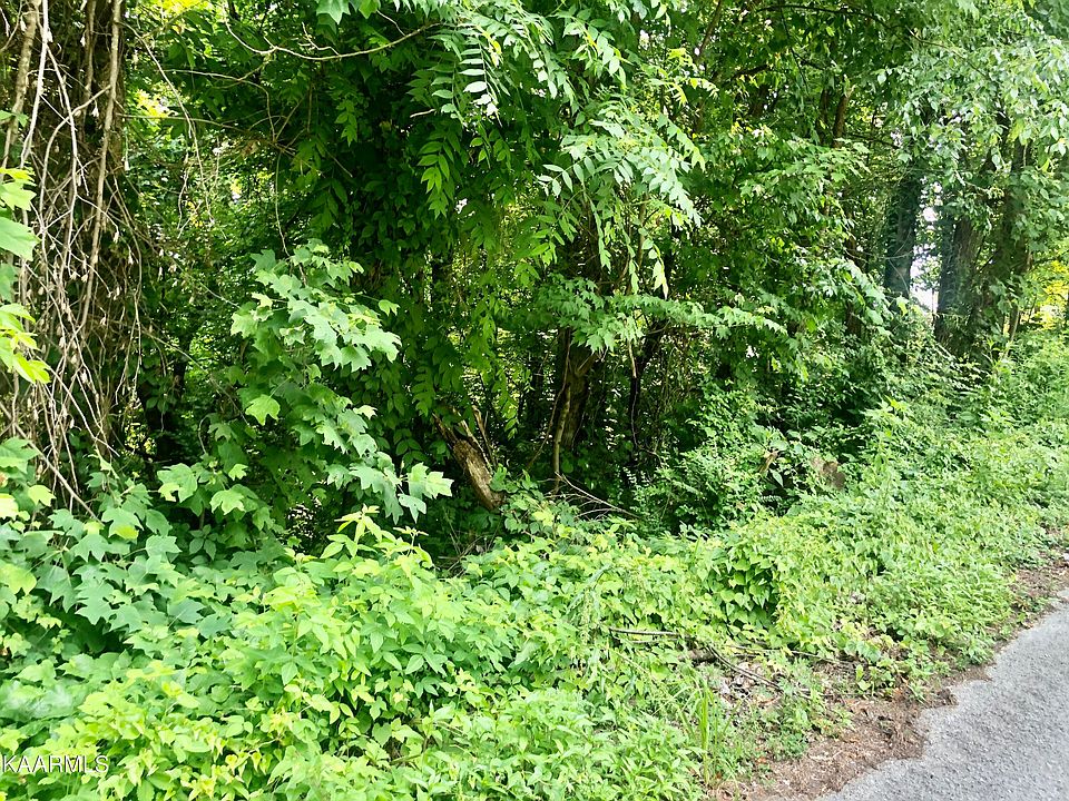 2nd image of Opal St