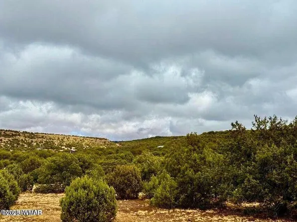 County Road 8256 Lot E, Concho, AZ 85924