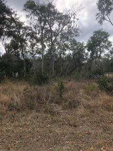 1708 N Retreat Dr #20, Inverness, FL, 34453