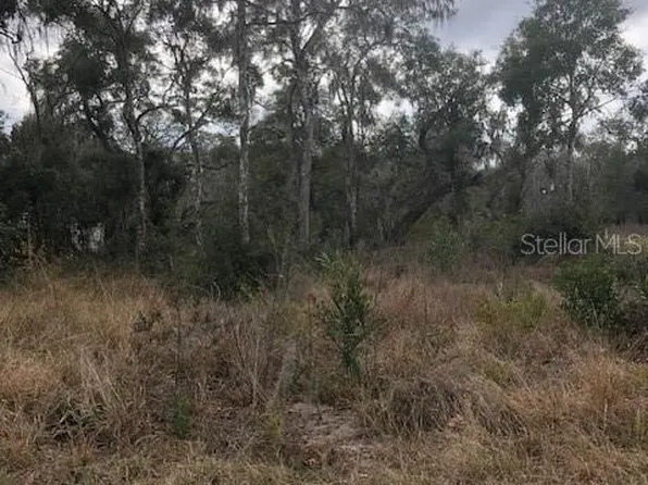 1708 N RETREAT DRIVE LOT 20, INVERNESS, FL 34453
