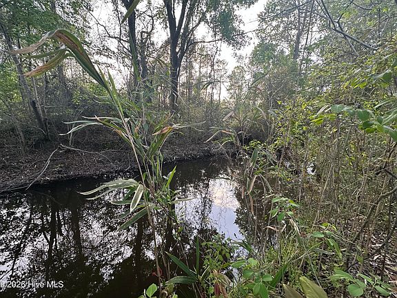 3rd image of Near 18951 Andrew Jackson Highway E