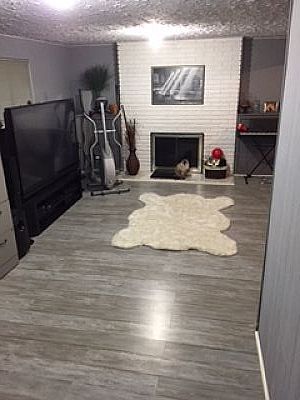 1ST LEVEL FAMILY ROOM