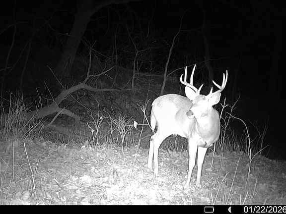 2nd image of 0 Gilsen Creek Rd