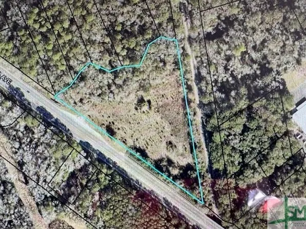 0 State Highway 21 Highway, Rincon, GA 31326