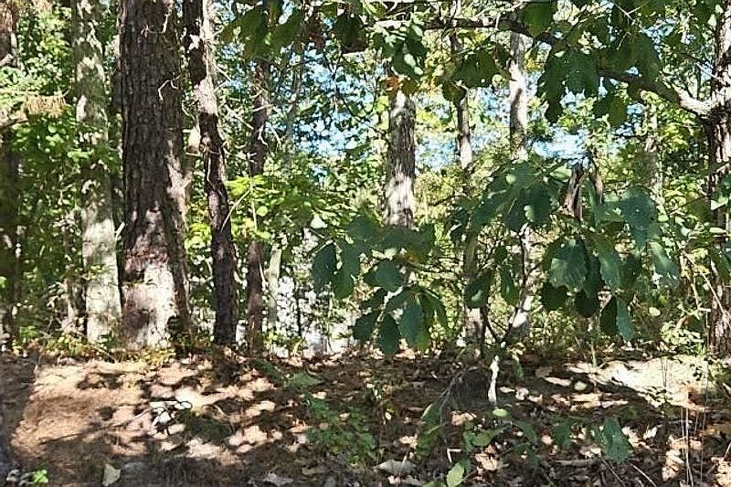 2nd image of 110 Flyatt Rd