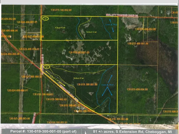 Vl Topinabee Mail Route S Extension Rd, Topinabee, MI 49791