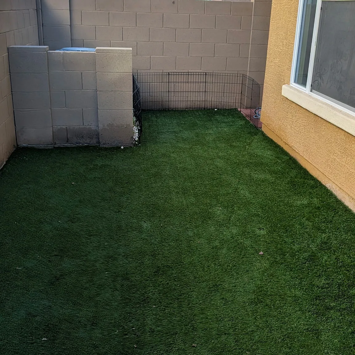 4226 E Pony Ln — Photo 3
