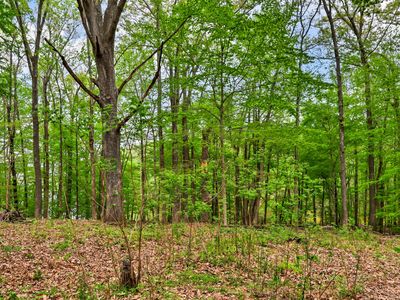 0 Waters Edge Ln #5, Bumpus Mills, TN, 37028