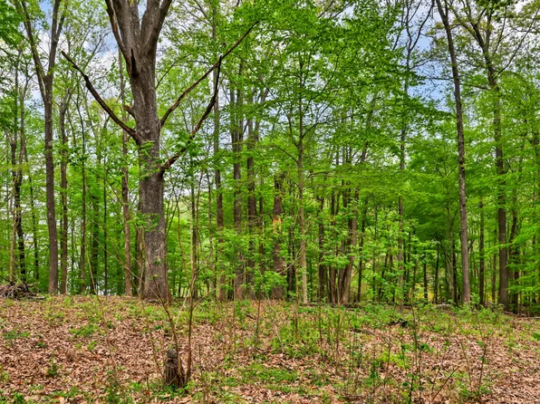 0 Waters Edge Ln #5, Bumpus Mills, TN 37028