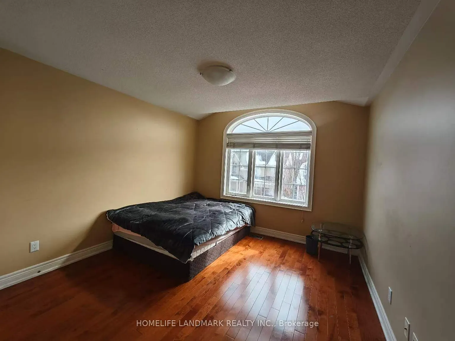 1 bed, $900 — Photo 2