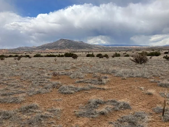Read Bluff Rd, Abiquiu, NM 87510