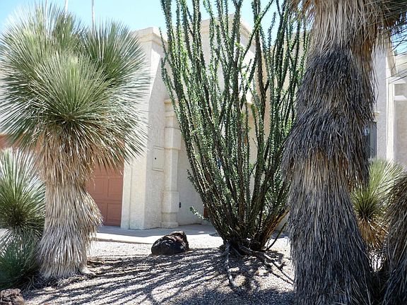 Front Yard, low maintenance