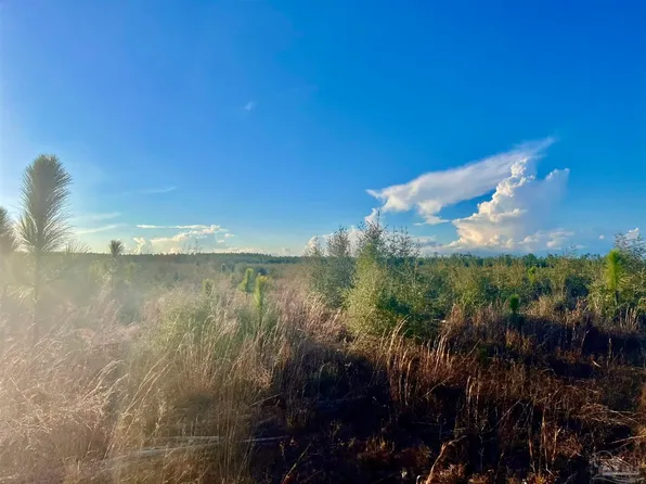 LOT 39 Buck Chase Ln, Milton, FL 32571