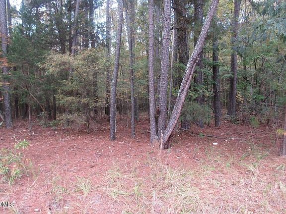 3rd image of 914 Taylors Chapel Rd Parcel 4