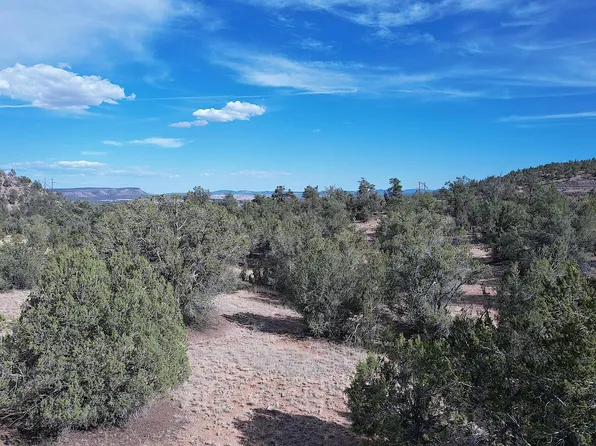 52471 N CAMINO GATO -- #2099, Seligman, AZ 86337