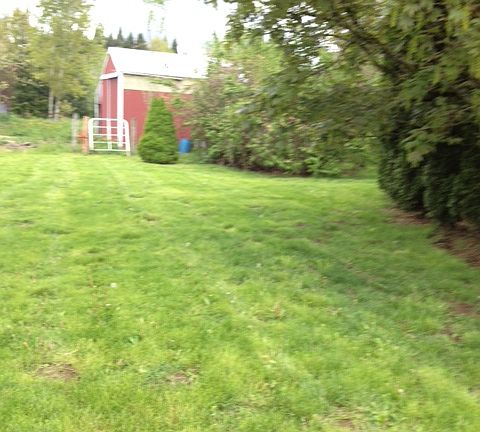 Front yard North to barn 