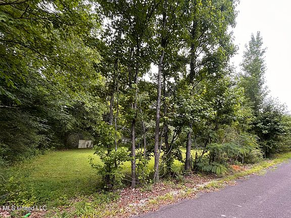 3rd image of 53 Lenzi Rd