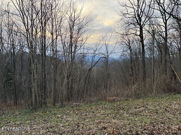 2nd image of 971 Scenic River Rd