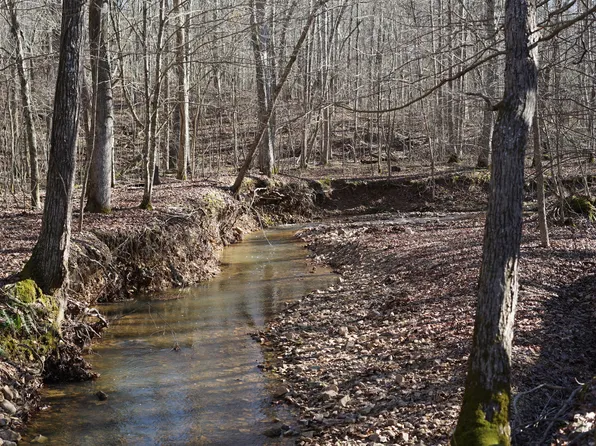 0 Danville Rd #4, Big Sandy, TN 38221