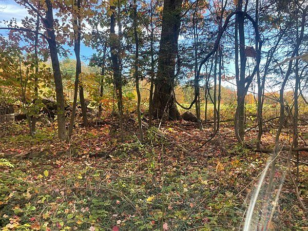 2nd image of 0 Pearl Hill Rd
