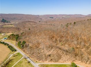 8410 French Hill Rd #31, Naples, NY 14512