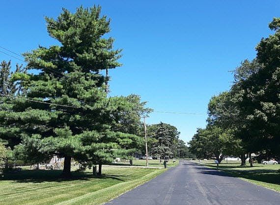 4th image of 906 Dexter Dr