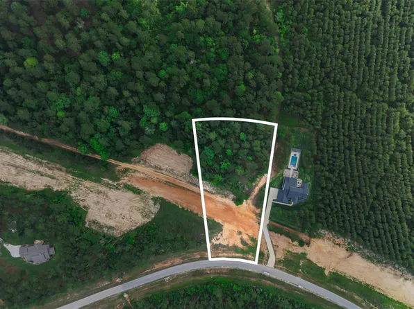 15464 Forest Grove Dr, Willis, TX 77378