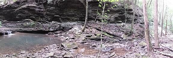 5th image of 0 S Marion Grundy Co Line