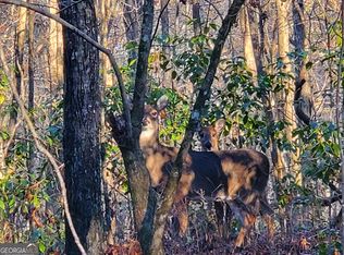 400 Williamson Rd, Dawsonville, GA 30534