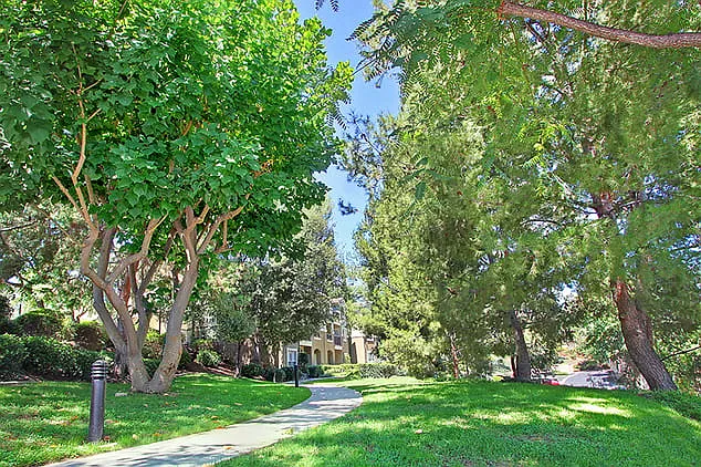 Alta Vista Apartments — Photo 15