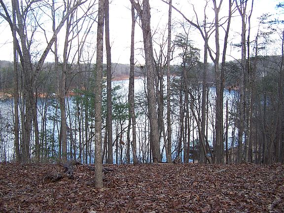 3rd image of 5703 Deer Dr