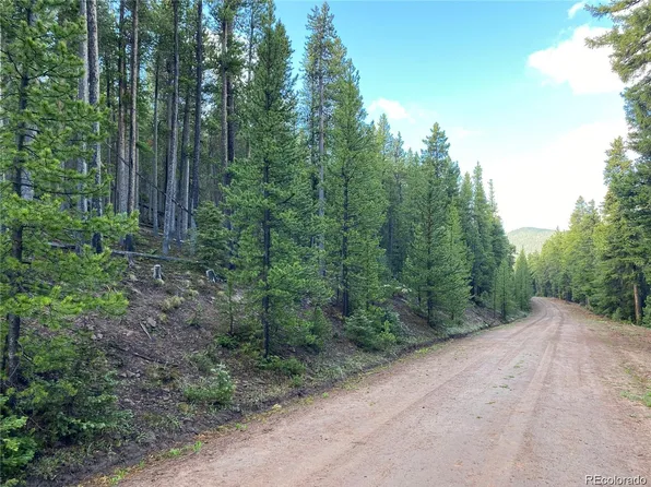 2687 Purnell Lane LOT 2687, Fort Garland, CO 81133