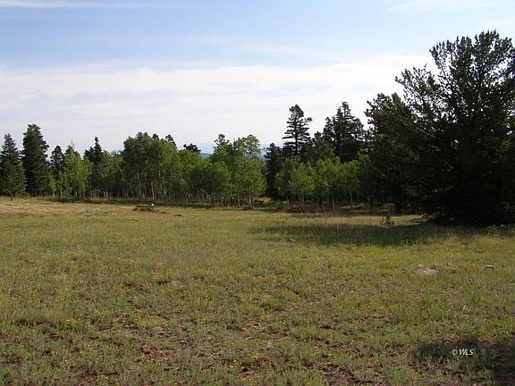2nd image of 69 Gibson Rd