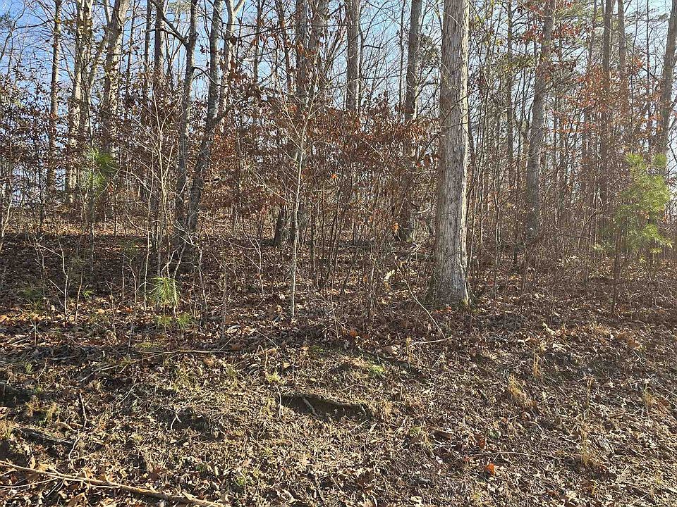 1st image of 2 & 3 Stonebrook Cove Dr