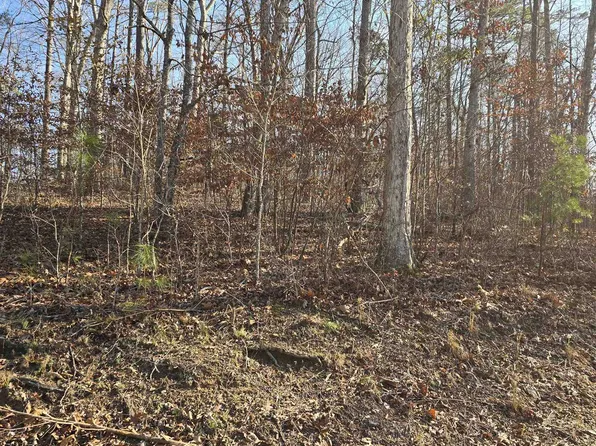 2 & 3 Stonebrook Cove Dr, Jasper, AL 35504