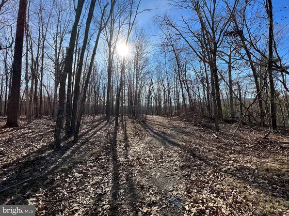 Oak Hill Dr, Springfield, WV 26763
