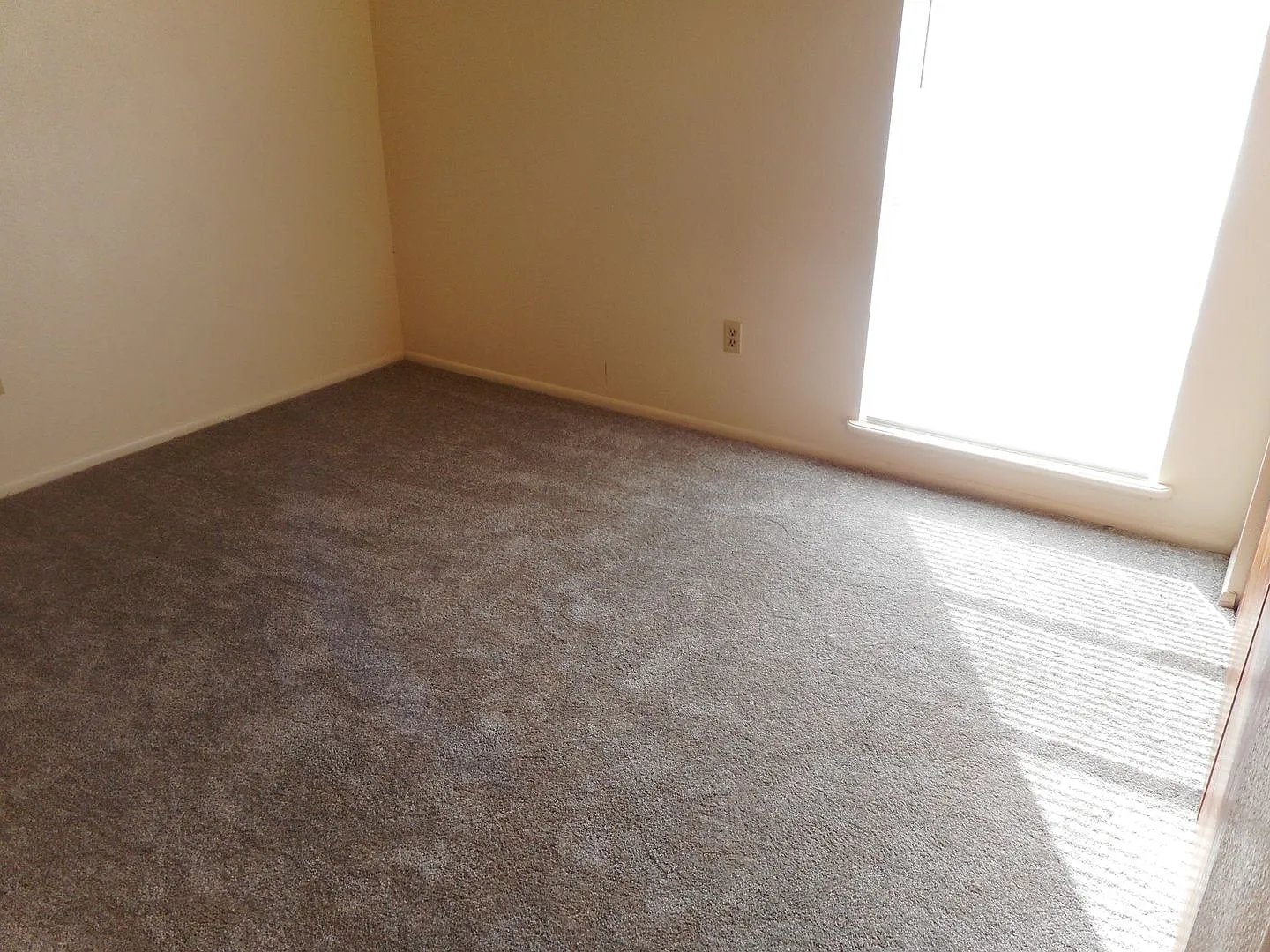 SE29P-5460 — Photo 2
