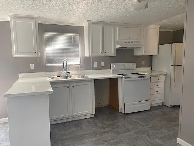 3 bed, 990 sqft, $1,250 — Photo 2