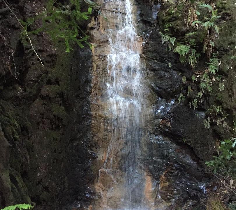 2nd image of 4220 Whitehouse Creek Rd
