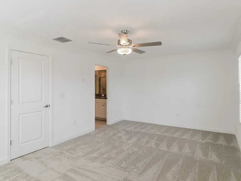 17506 Radiant Shine Way — Photo 10