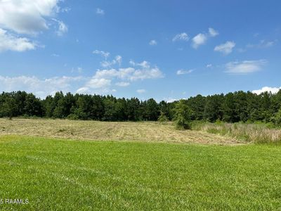 203 Bourbon Rd, Basile, LA, 70515