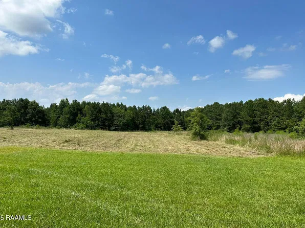 203 Bourbon Rd, Basile, LA 70515