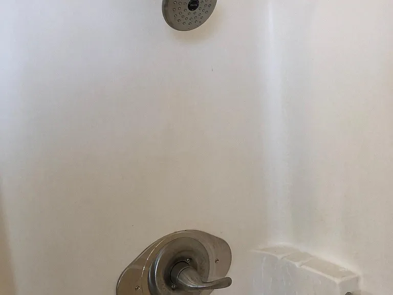 Master bath shower.