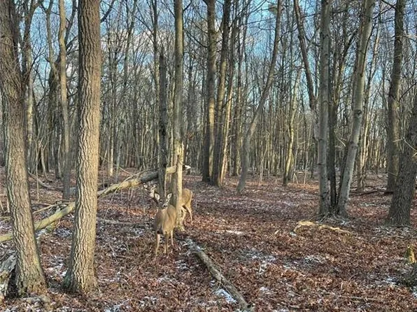 124 Ash Dr, Long Pond, PA 18334