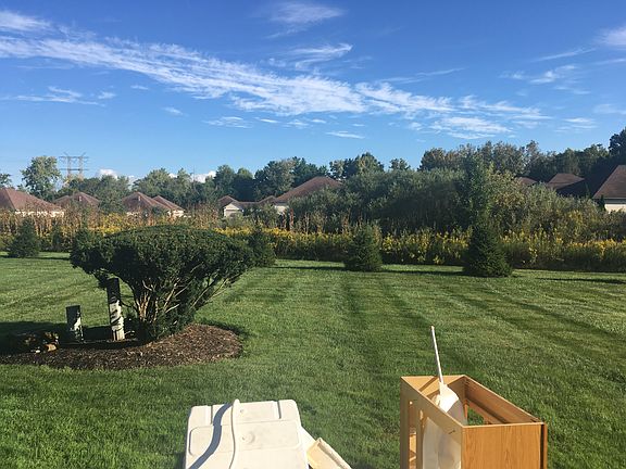Looking out back door