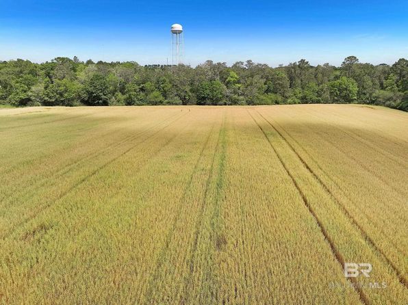 22500 Us Highway 90, Robertsdale, AL 36567