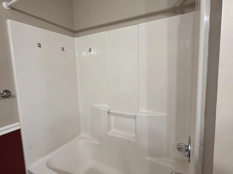 Master Bathroom shower